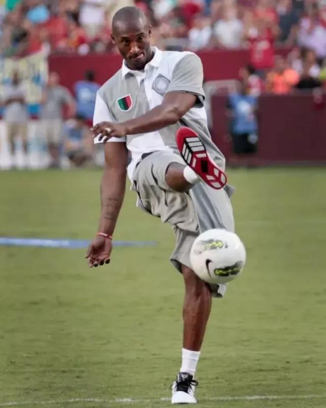 热刺做了一笔好交易：租借拜仁后腰帕利尼亚