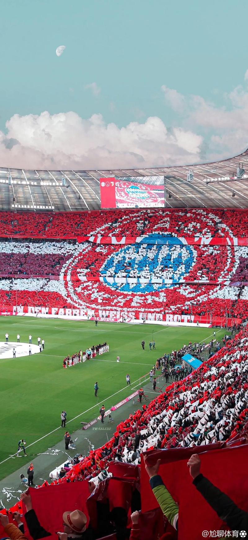 丹麦团队精神令人动容（丹麦队的团队精神感人至深）